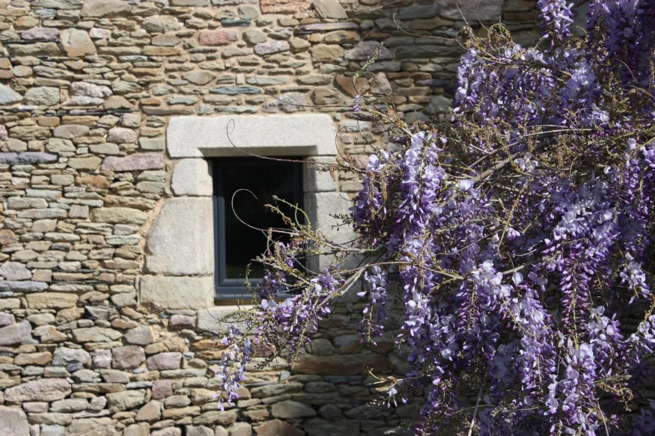 PleucadeucDomaine De La Prevostais住宿加早餐旅馆 外观 照片